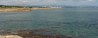 Can Picafort