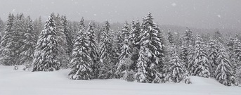 Folgaria