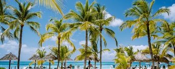 Palm Beach