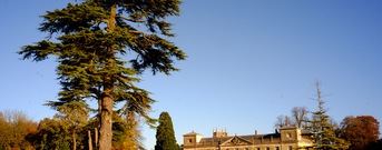 Swindon