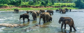 Seien Sri Lanka