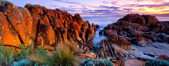 Tasmanien