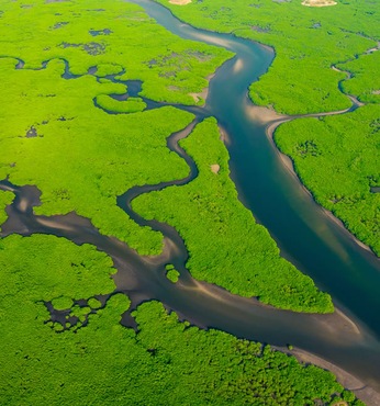 Amazonas