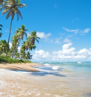 Salvador (Brasilien)
