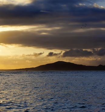Tagus Cove (Isabella)