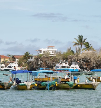 Puerto Ayora, Santa Cruz (Ecuador) 