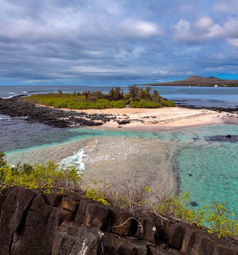 Bahía Elizabeth (Isla Isabela, Galápagos)
