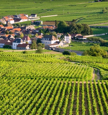 Le Verdon