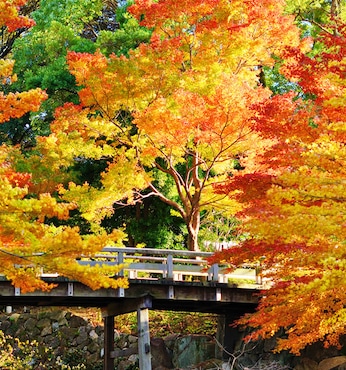 Nagoya (Japan)