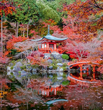 Osaka (Japan)