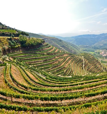 Regua (Portugal)