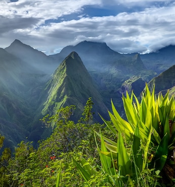 Le Réunion