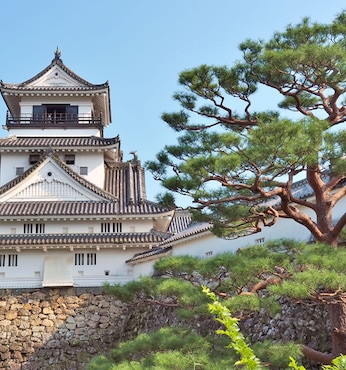 Kochi (Japan)