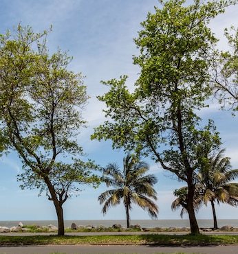 Maputo (Mosambique)
