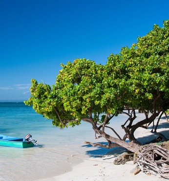 Samana (Dom. Rep.)