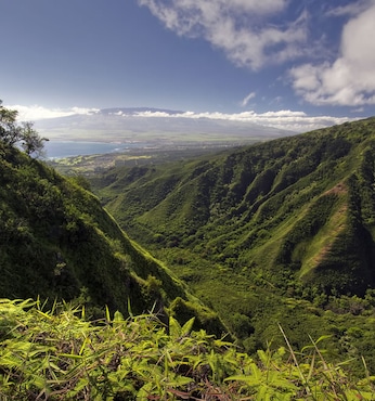 Kahului