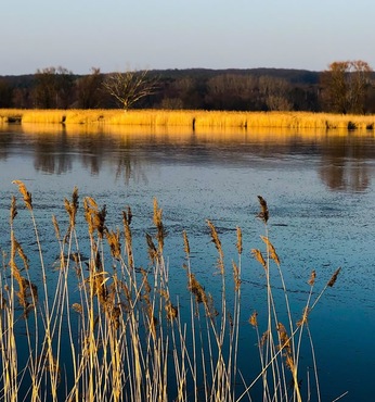 Niederfinow (Oder-Havel-Kanal)