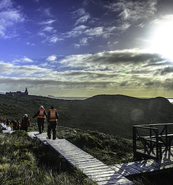 Kap Hoorn (Chile)