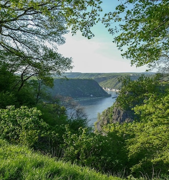 Mittelrheintal Loreley- Passage 