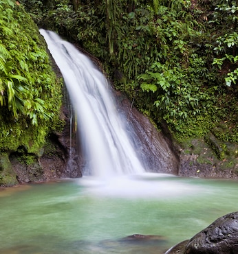 Guadeloupe (Antillen)