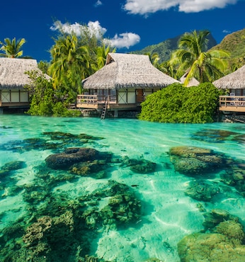 Moorea (Franz. Polynesien)