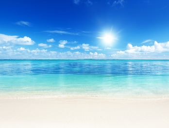 Online Angebote aus Instagram und Facebook mit MSC Cruises