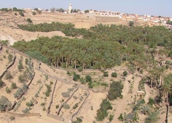 Nefta