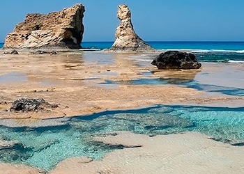 Gammarth