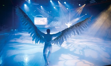 Shows und Nachtleben