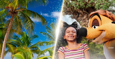 Walt Disney World Orlando und Punta Cana