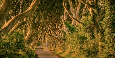 Die Route Game of Thrones durch die Grüne Insel