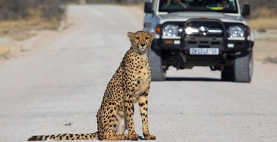 Route vom Etosha Naturpark zur Namib Wüste