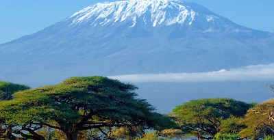 Masai Mara, Naivasha und Amboseli mit Sansibar