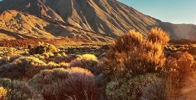 Gran Canaria, Teneriffa und Lanzarote