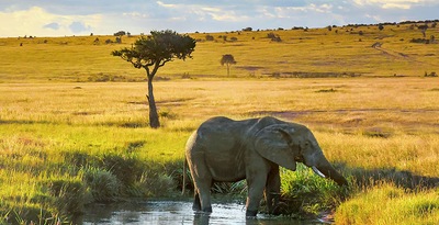 Kenia und Malediven