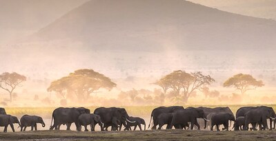 Safari in Tansania mit dem Eyasi-See