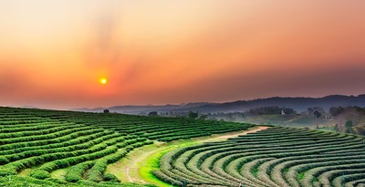 Bangkok, Chiang Rai, Chiang Mai und Malediven