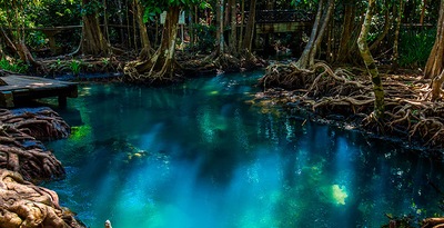 Von Bangkok nach Nordthailand und Krabi