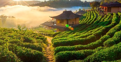Nordthailand mit Mae Hong Son und Malediven