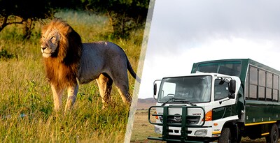 Südafrika im Reise-Truck