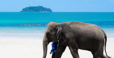 Bangkok, Chiang Mai und Koh Chang