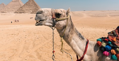 Kairo, 3 Nächte Kreuzfahrt und Hurghada
