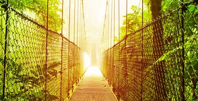 Tortuguero, Karibik, Arenal, Monteverde, Guanacaste und Unterkunft in San Jose