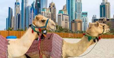 Route durch die Vier Arabische Emirate