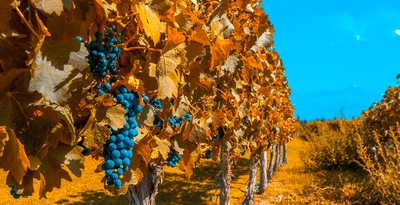 Mendoza-el Plumerillo