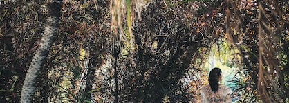 Hacienda San Jorge