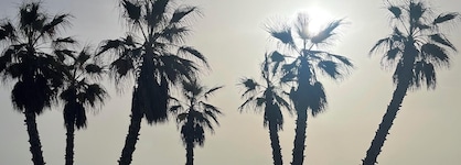 Agh Canet Hotel