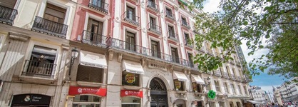 Petit Palace Puerta Del Sol