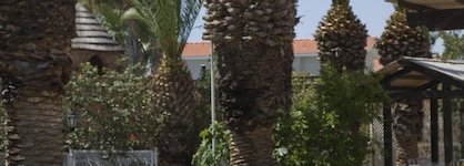 Sandy Beach Hotel & Spa - Ex Sentido