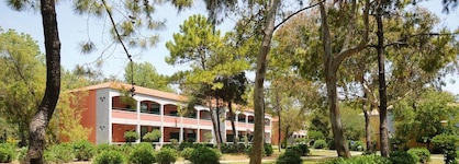 Domes Aulus Zante, Autograph Collection